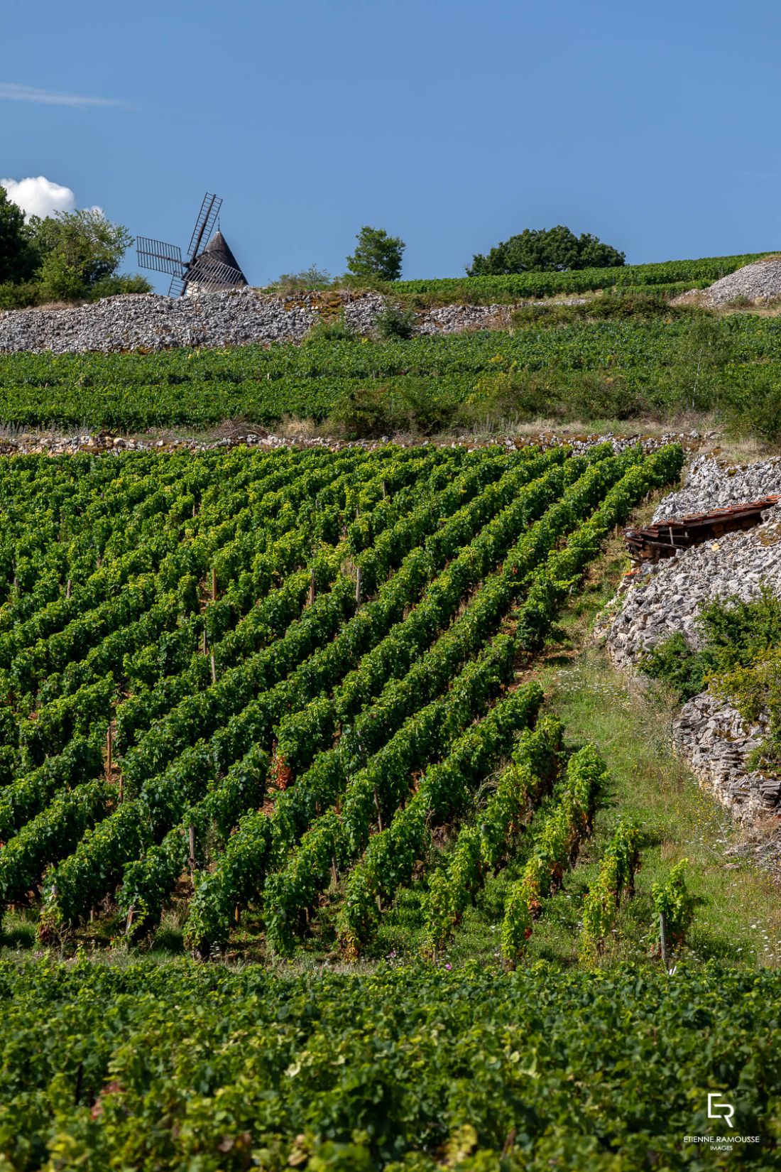 Domaine Lequin
