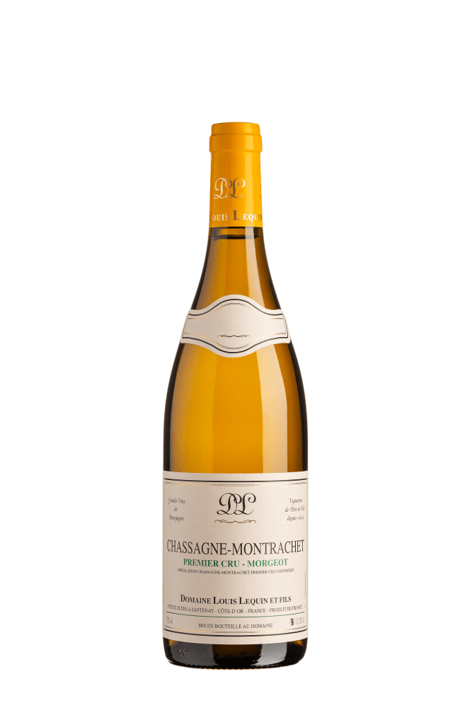 Vin Chassagne Montrachet